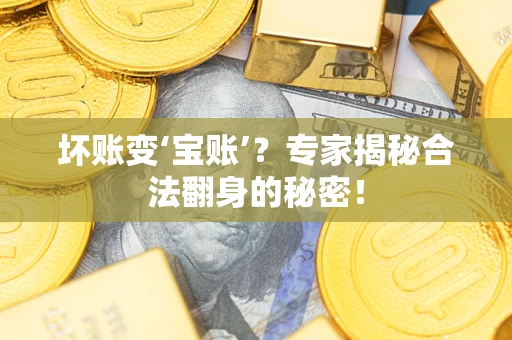 北京坏账变‘宝账’？专家揭秘合法翻身的秘密！