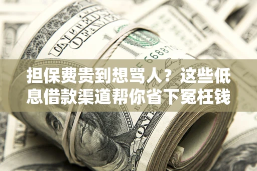 北京担保费贵到想骂人？这些低息借款渠道帮你省下冤枉钱