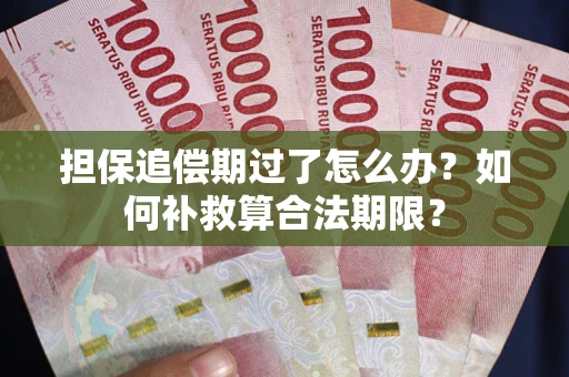 北京担保追偿期过了怎么办？如何补救算合法期限？