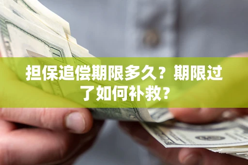 北京担保追偿期限多久？期限过了如何补救？