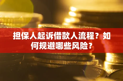 北京担保人起诉借款人流程？如何规避哪些风险？