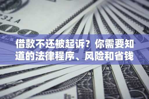 北京借款不还被起诉？你需要知道的法律程序、风险和省钱技巧